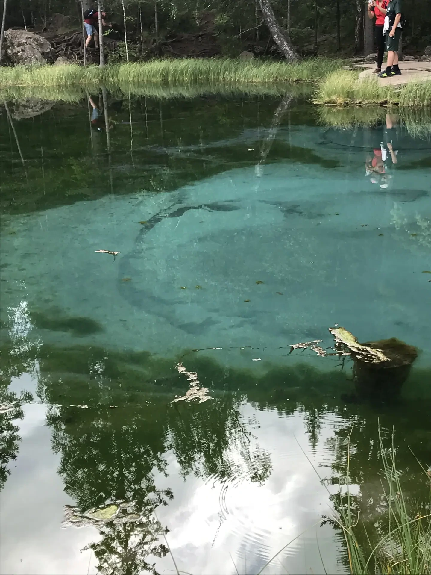 Отдых на Алтае в сентябре: погода, заповедник и водоскат Учар